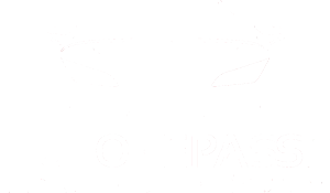 Auto Repasse