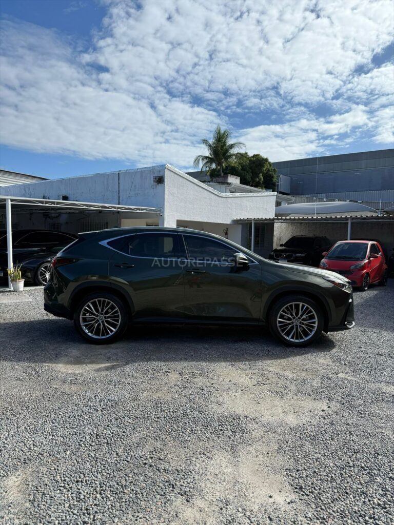 LEXUS NX350h LUXURY 2.5 AWD 2021/2022