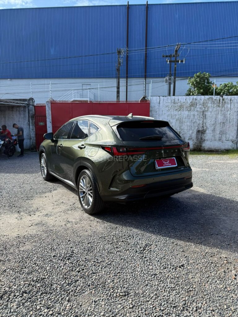LEXUS NX350h LUXURY 2.5 AWD 2021/2022