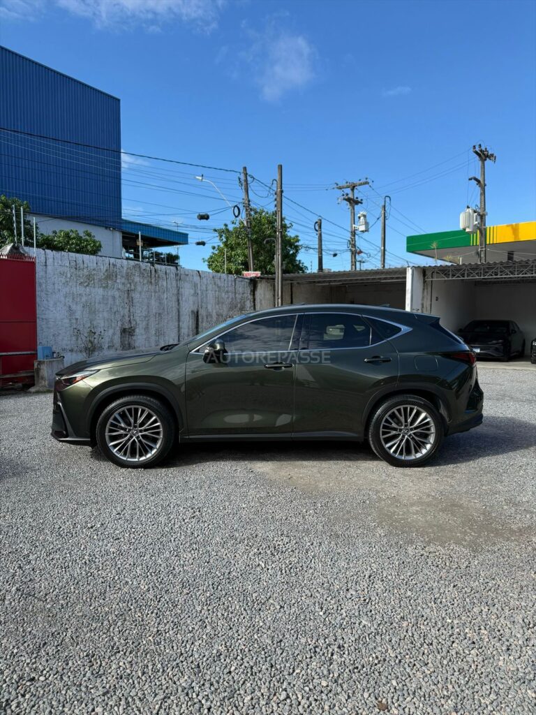 LEXUS NX350h LUXURY 2.5 AWD 2021/2022