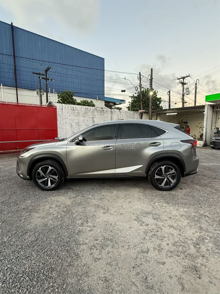 LEXUS NX300h LUXURY 2.5 AWD 2021/2021