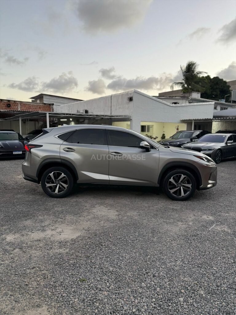 LEXUS NX300h LUXURY 2.5 AWD 2021/2021