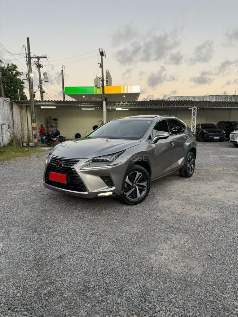 LEXUS NX300h LUXURY 2.5 AWD 2021/2021
