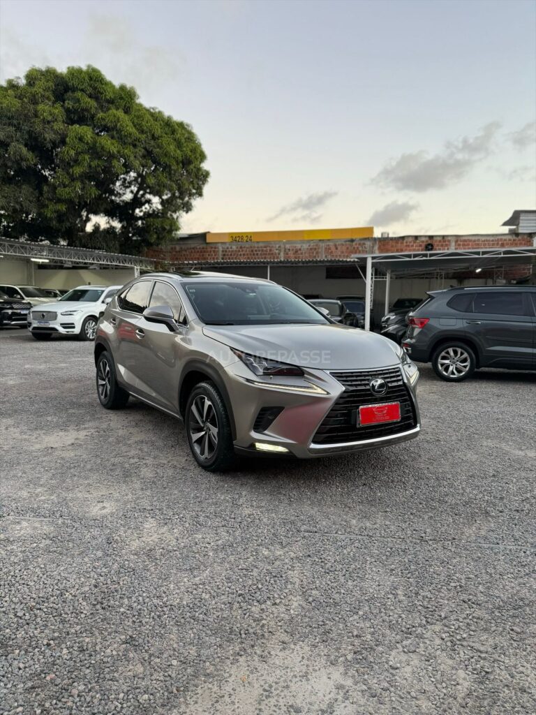 LEXUS NX300h LUXURY 2.5 AWD 2021/2021