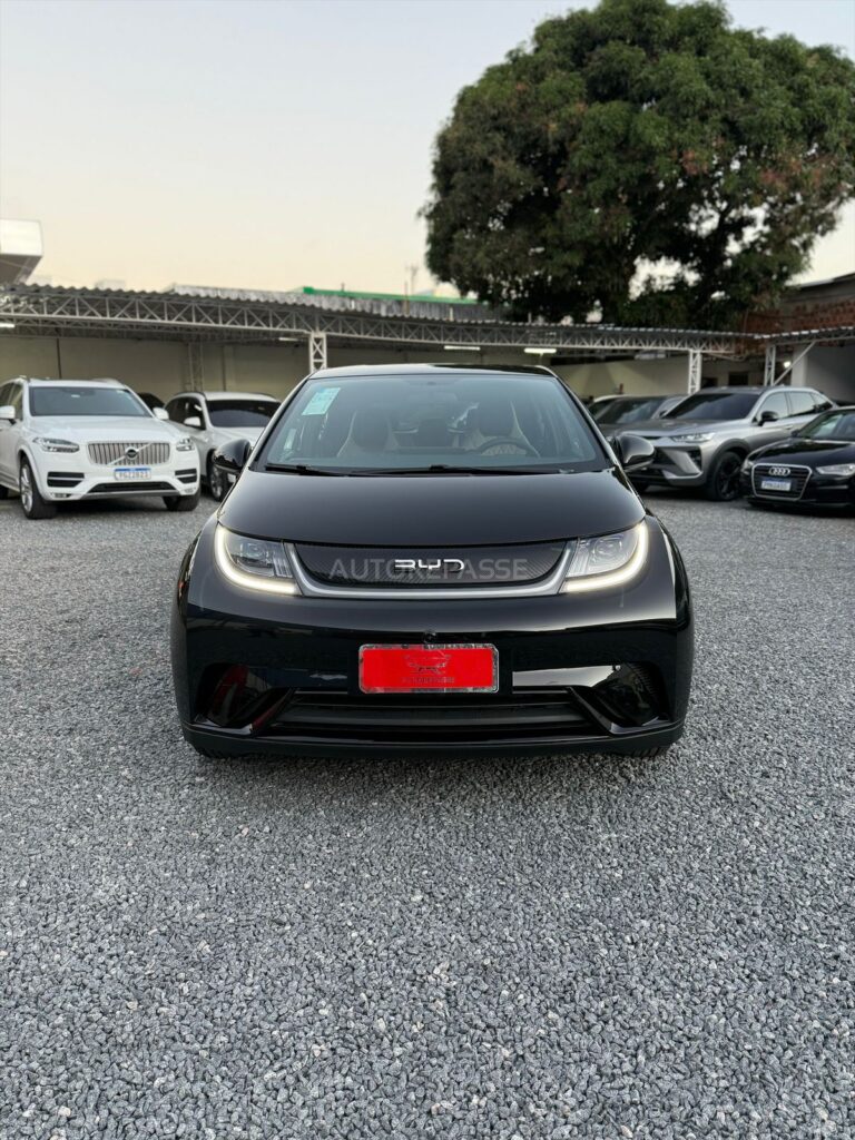 BYD DOLPHIN GS 2025/2026