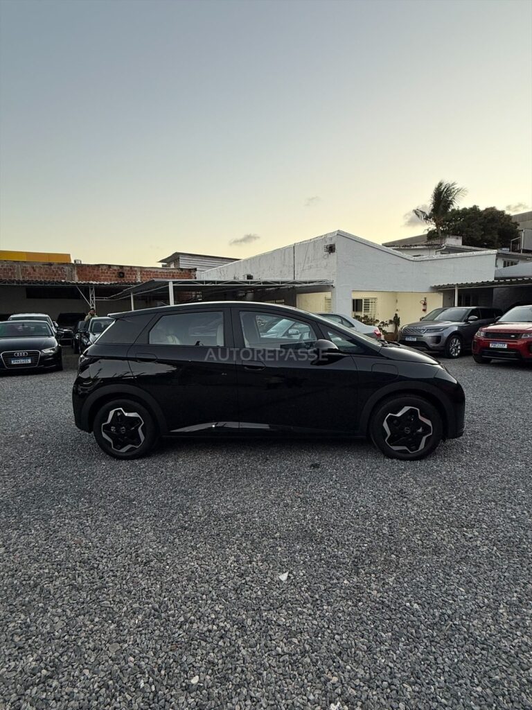 BYD DOLPHIN GS 2025/2026