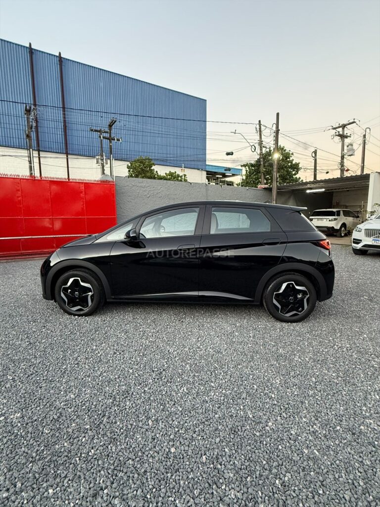 BYD DOLPHIN GS 2025/2026