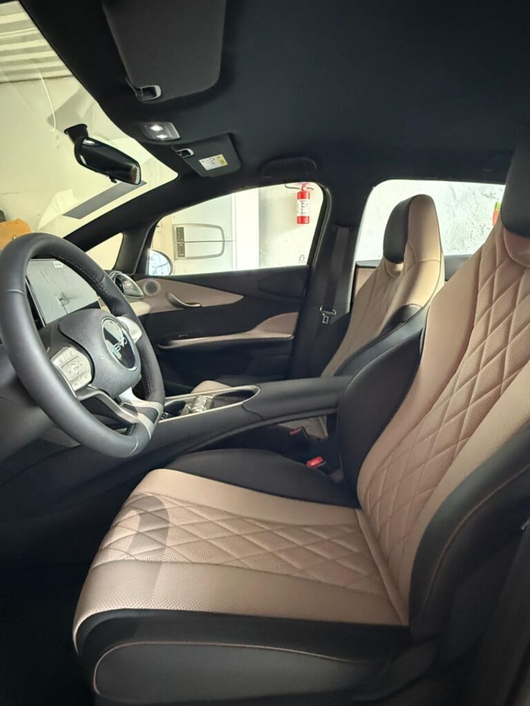 BYD DOLPHIN GS 2025/2026