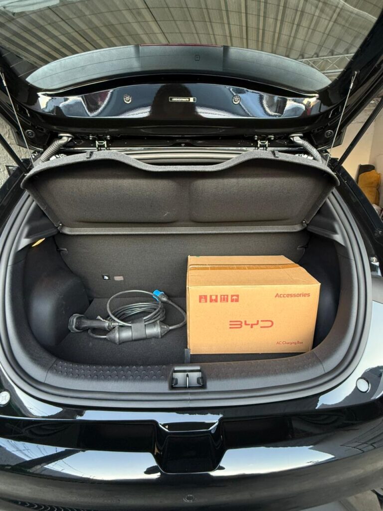 BYD DOLPHIN GS 2025/2026