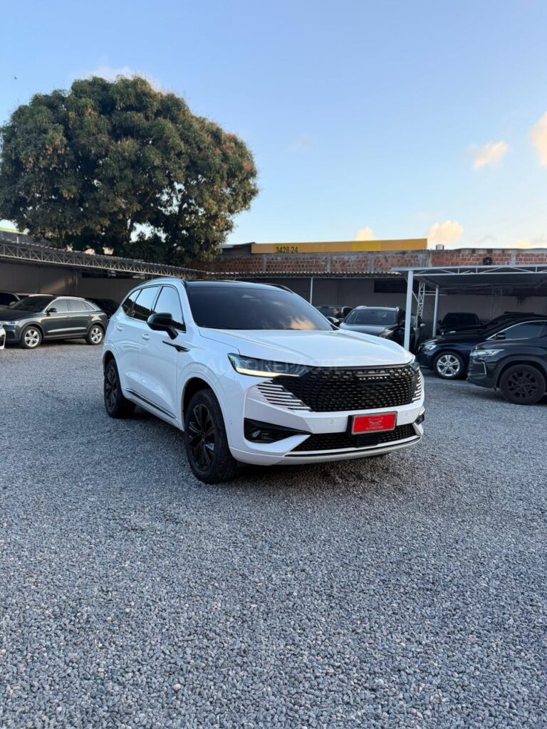 GWM HAVAL H6 1.5 PHEV19 2024/2025