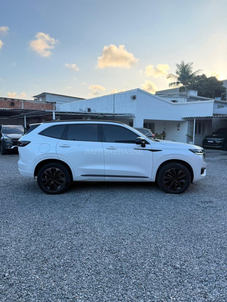 GWM HAVAL H6 1.5 PHEV19 2024/2025