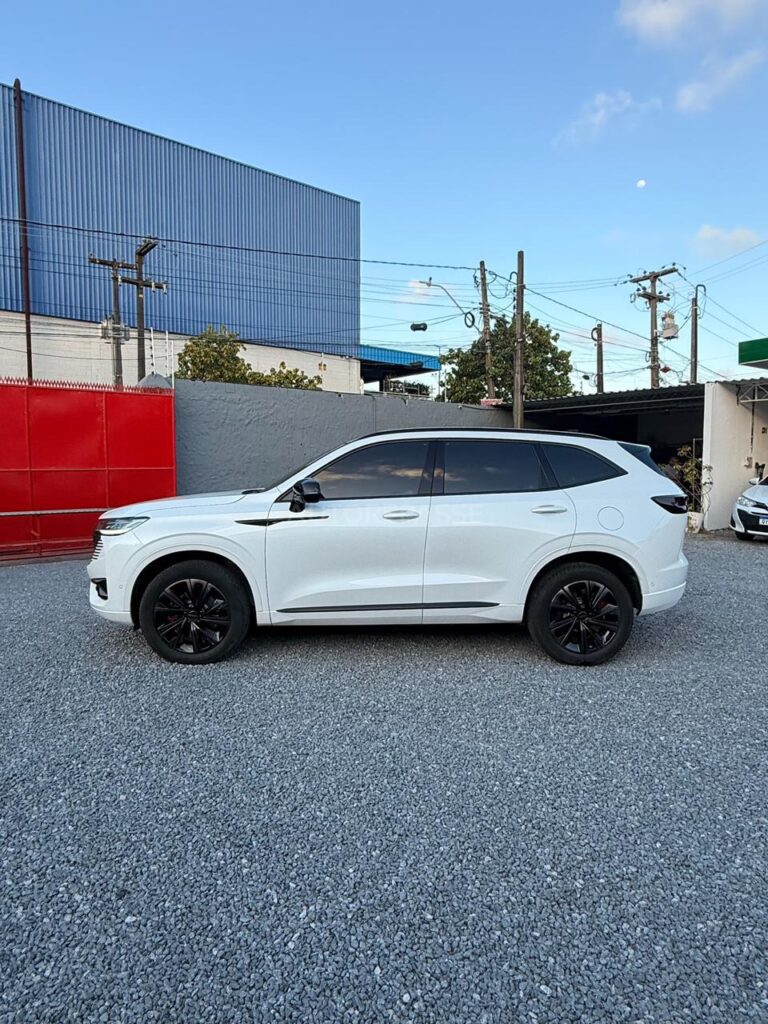 GWM HAVAL H6 1.5 PHEV19 2024/2025