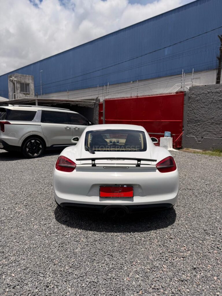 PORSCHE CAYMAN S 3.4 2013/2014