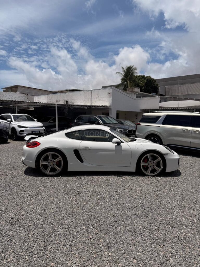 PORSCHE CAYMAN S 3.4 2013/2014