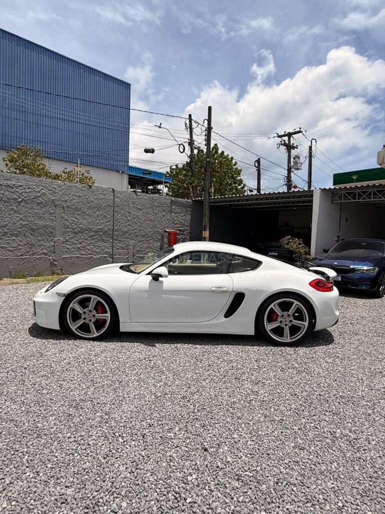 PORSCHE CAYMAN S 3.4 2013/2014