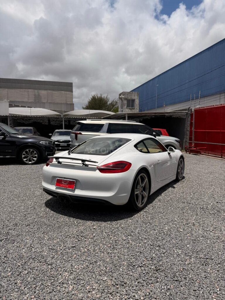 PORSCHE CAYMAN S 3.4 2013/2014