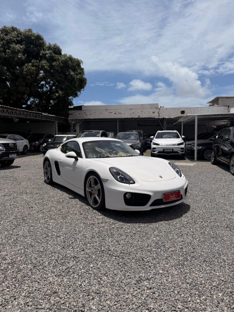 PORSCHE CAYMAN S 3.4 2013/2014