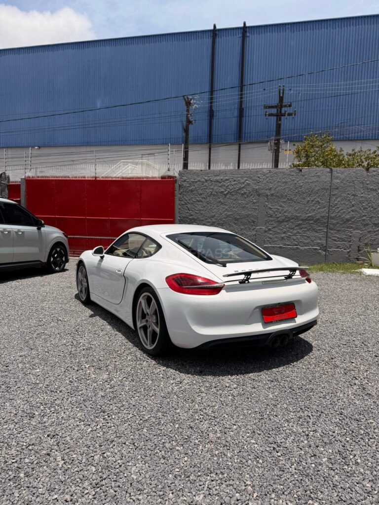 PORSCHE CAYMAN S 3.4 2013/2014