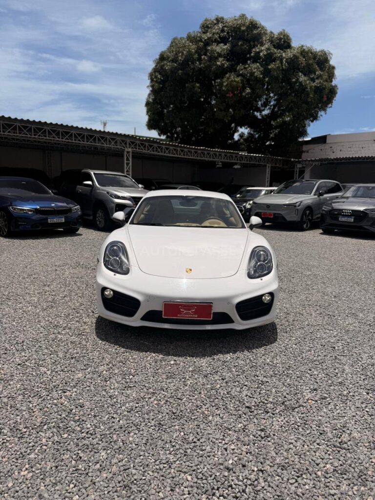 PORSCHE CAYMAN S 3.4 2013/2014