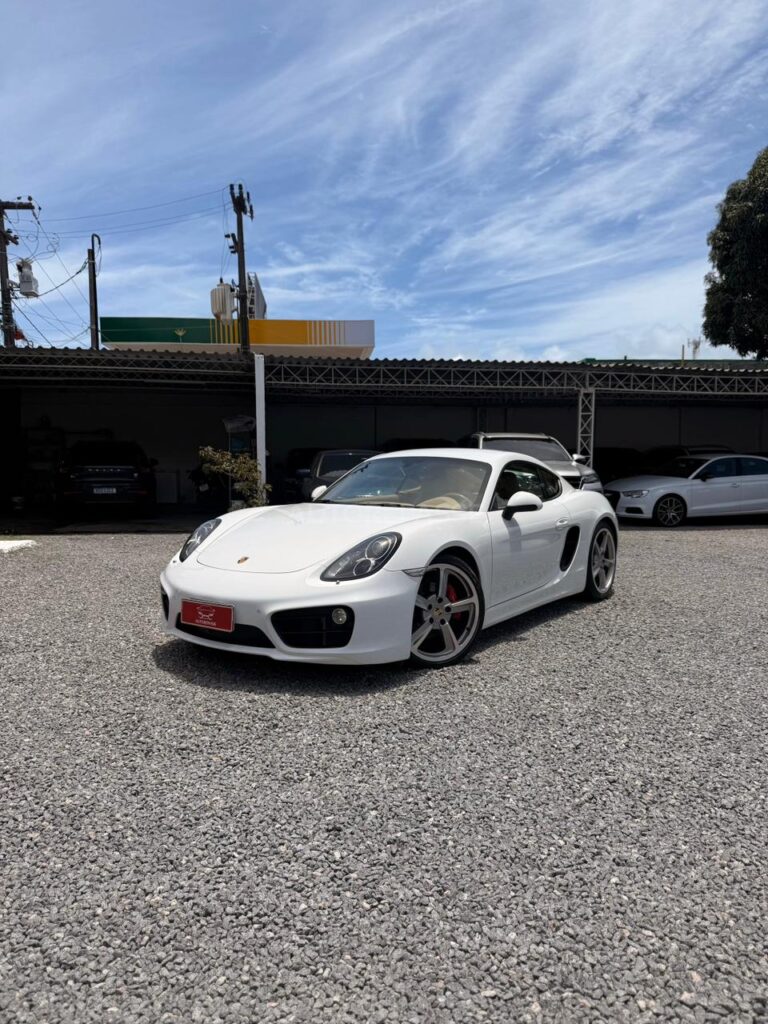 PORSCHE CAYMAN S 3.4 2013/2014