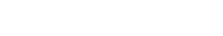 Auto Repasse